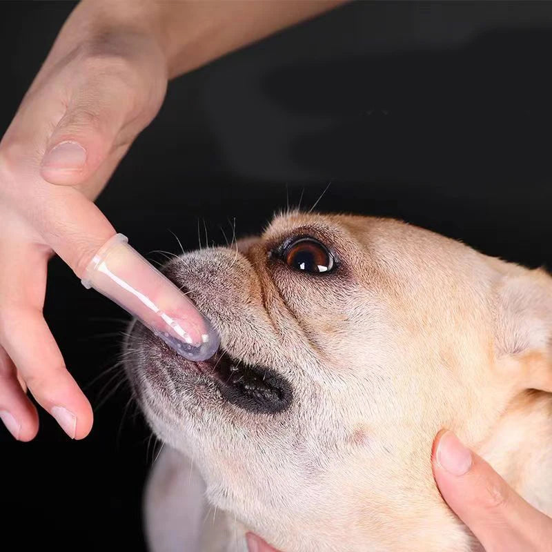 Soft Pet Finger Toothbrush